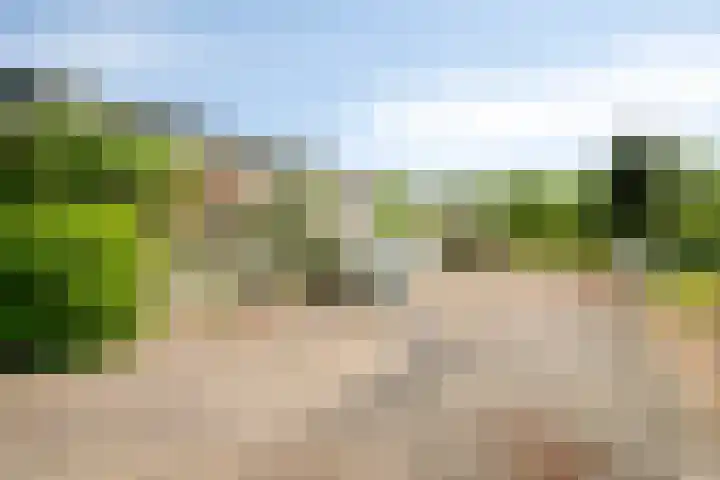 's-Gravenpolderseweg 13 Goes thumbnail 60