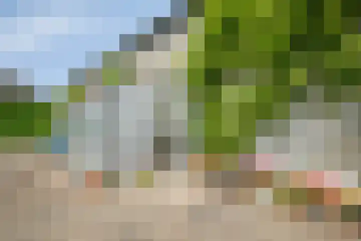 's-Gravenpolderseweg 13 Goes thumbnail 61
