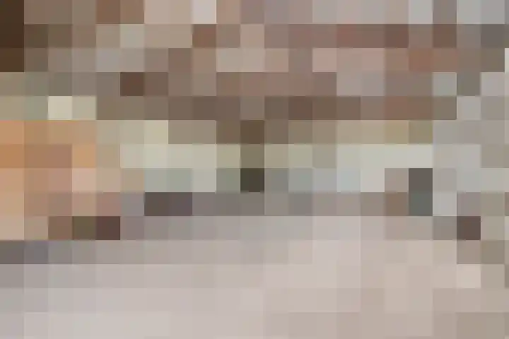 's-Gravenpolderseweg 13 Goes thumbnail 62