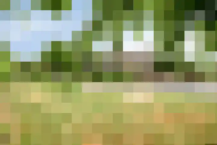 's-Gravenpolderseweg 13 Goes thumbnail 70