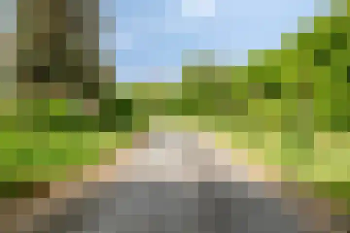 's-Gravenpolderseweg 13 Goes thumbnail 71