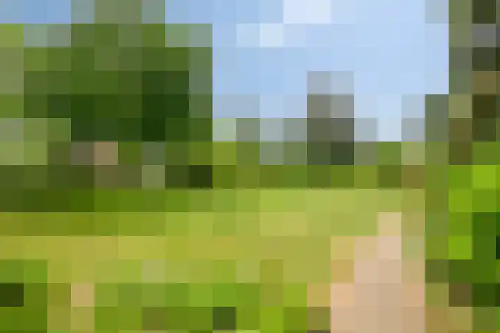 's-Gravenpolderseweg 13 Goes thumbnail 72