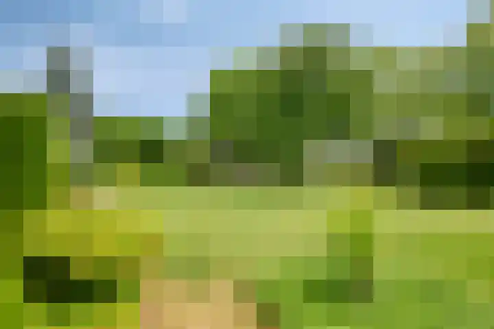's-Gravenpolderseweg 13 Goes thumbnail 73