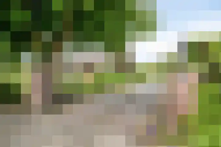 's-Gravenpolderseweg 13 Goes thumbnail 74