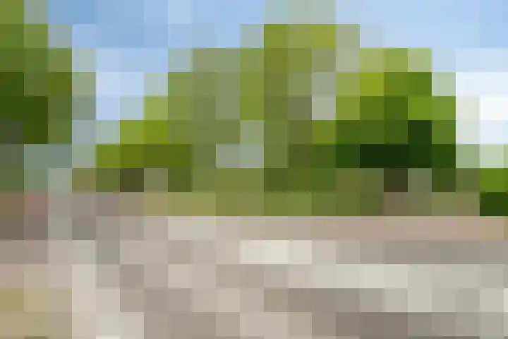 's-Gravenpolderseweg 13 Goes thumbnail 75