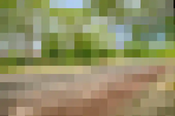 's-Gravenpolderseweg 13 Goes thumbnail 76