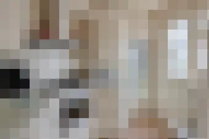 's-Gravenpolderseweg 34 Goes thumbnail 20