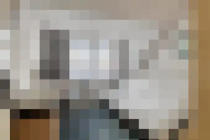 's-Gravenpolderseweg 34 Goes thumbnail 31