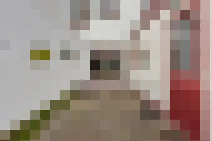 's-Gravenpolderseweg 34 Goes thumbnail 38