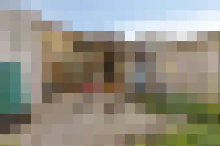 's-Gravenpolderseweg 34 Goes thumbnail 40
