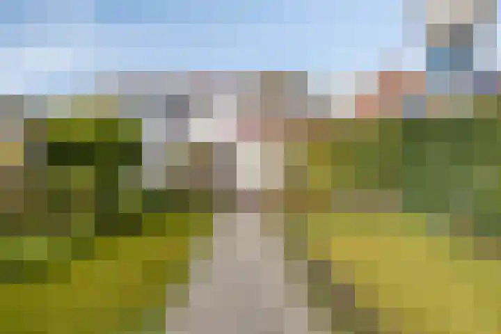 's-Gravenpolderseweg 34 Goes thumbnail 42