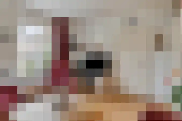 's-Gravenpolderseweg 34 Goes thumbnail 8