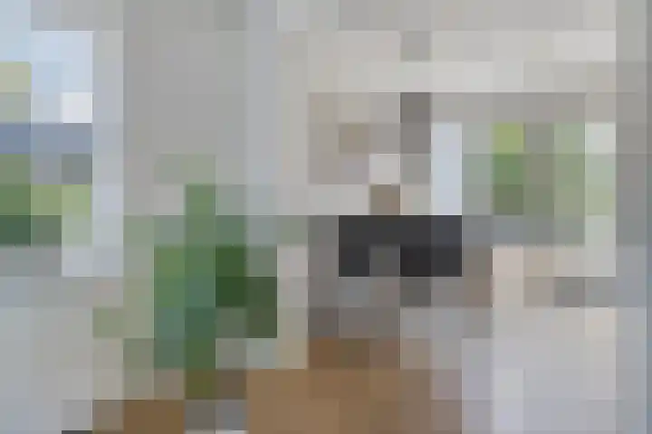 's-Gravenpolderseweg 5 Goes thumbnail 10