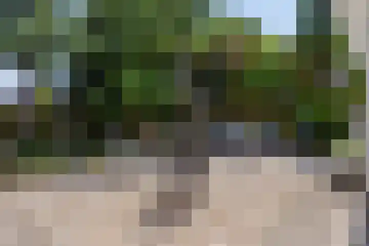 's-Gravenpolderseweg 5 Goes thumbnail 23