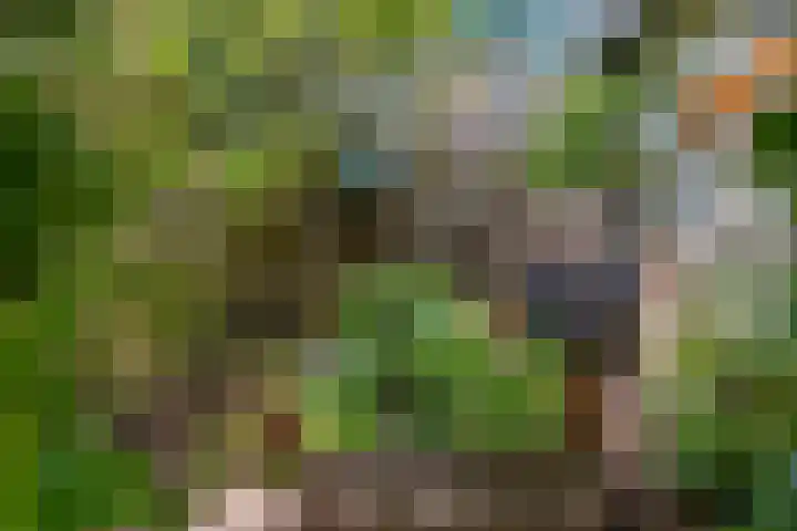 's-Gravenpolderseweg 5 Goes thumbnail 25