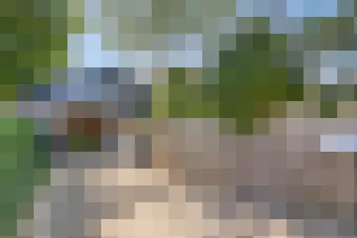 's-Gravenpolderseweg 5 Goes thumbnail 27