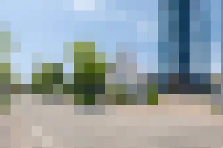 's-Gravenpolderseweg 5 Goes thumbnail 6