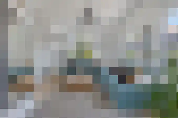 's-Gravenpolderseweg 5 Goes thumbnail 8