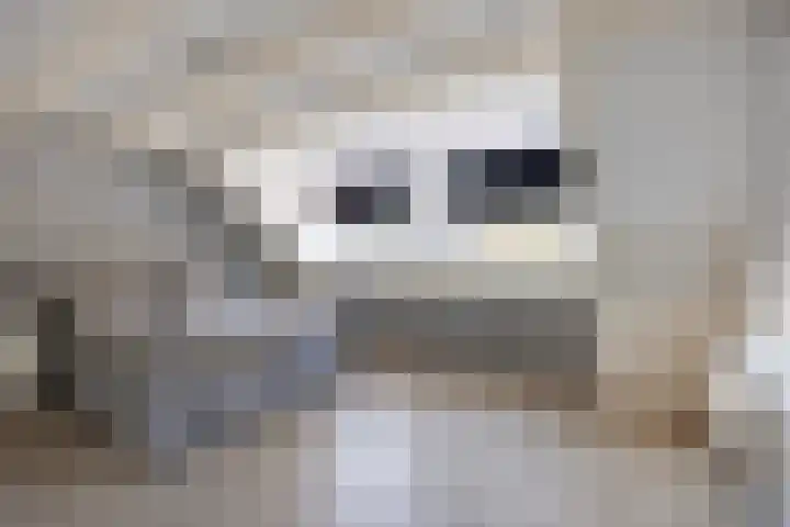 's-Gravenpolderseweg 68 Goes thumbnail 14