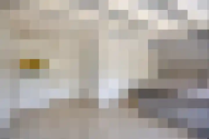 's-Gravenpolderseweg 68 Goes thumbnail 15