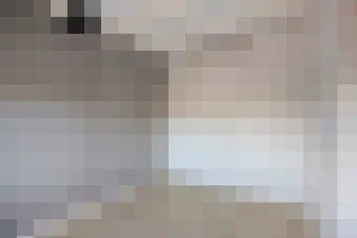 's-Gravenpolderseweg 68 Goes thumbnail 17