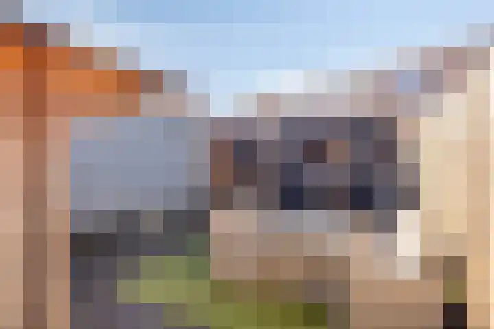 's-Gravenpolderseweg 68 Goes thumbnail 21