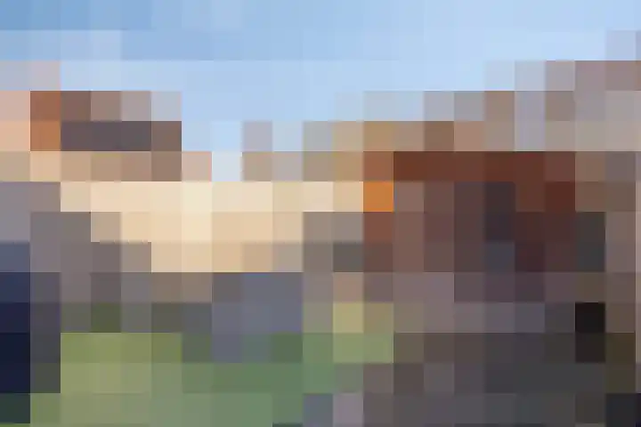 's-Gravenpolderseweg 68 Goes thumbnail 22