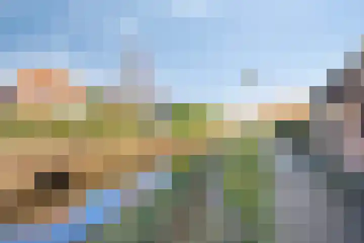 's-Gravenpolderseweg 68 Goes thumbnail 23