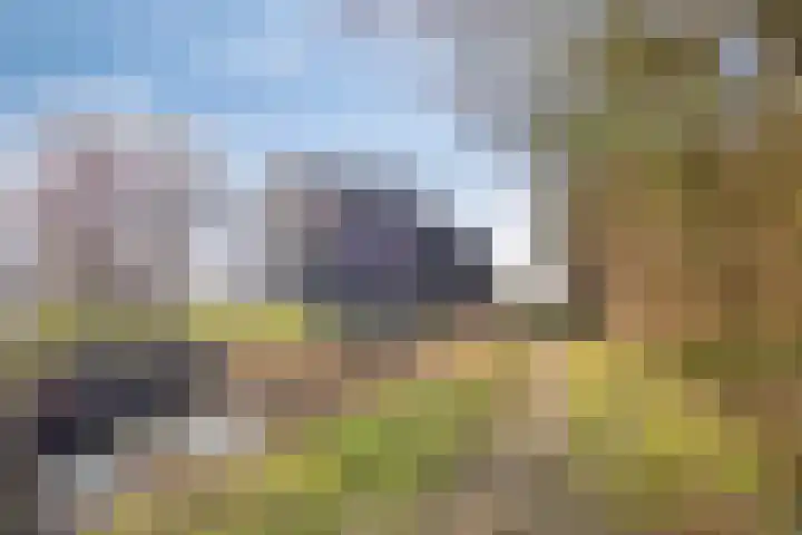 's-Gravenpolderseweg 68 Goes thumbnail 24