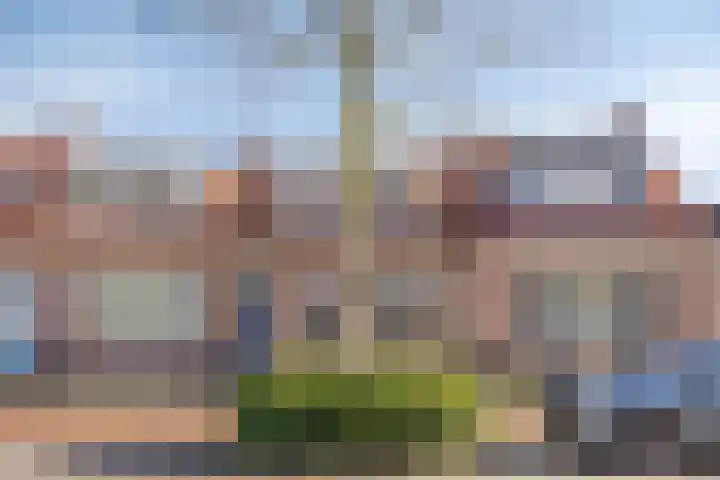 's-Gravenpolderseweg 68 Goes thumbnail 26
