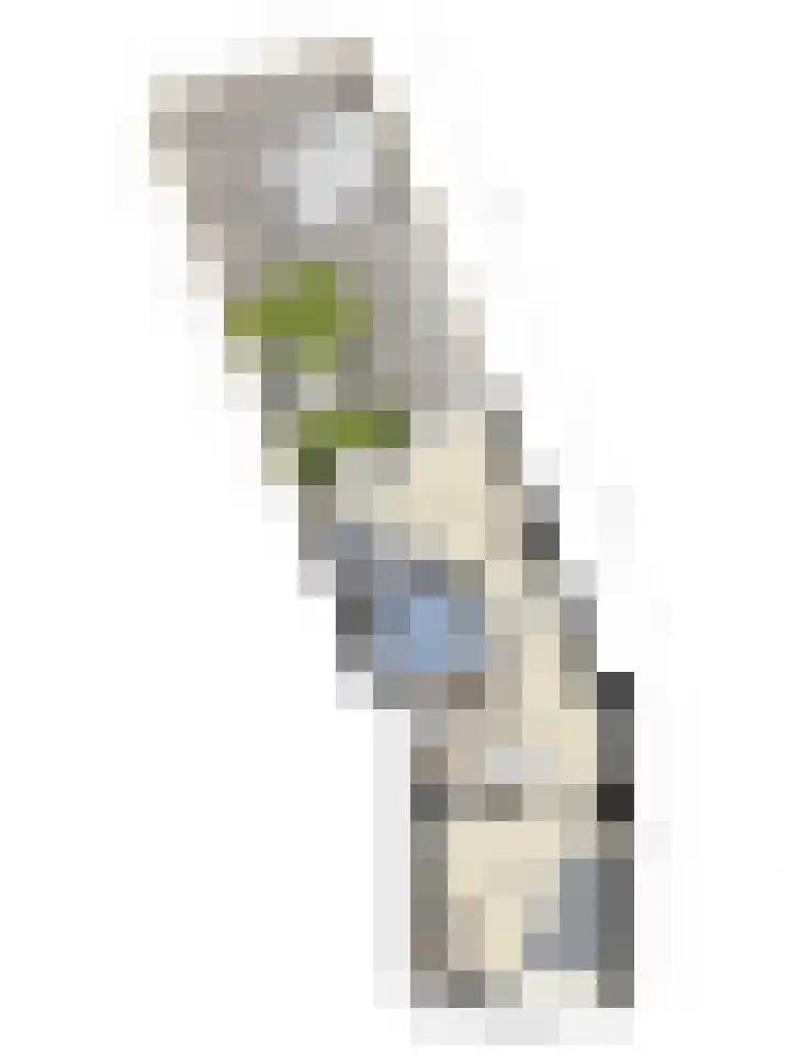 's-Gravenpolderseweg 68 Goes thumbnail 28