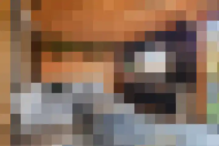 's-Gravenpolderseweg 68 Goes thumbnail 4