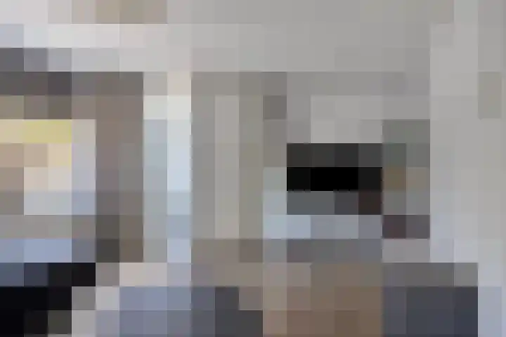 's-Gravenpolderseweg 68 Goes thumbnail 6