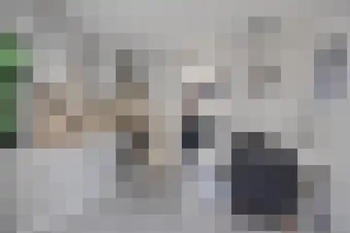 's-Gravenpolderseweg 68 Goes thumbnail 7