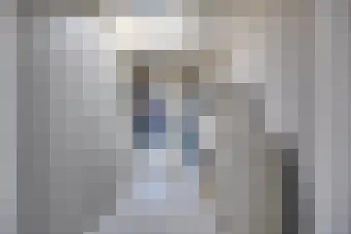 's-Gravenpolderseweg 68 Goes thumbnail 9