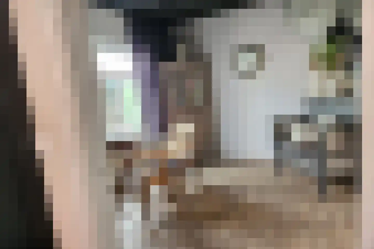 's-Gravenpolderseweg 76 Goes thumbnail 11