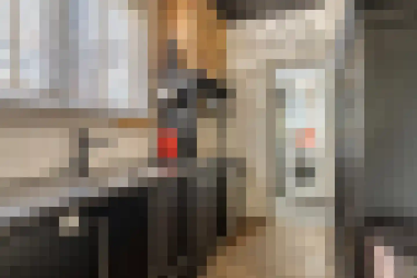 's-Gravenpolderseweg 76 Goes thumbnail 13