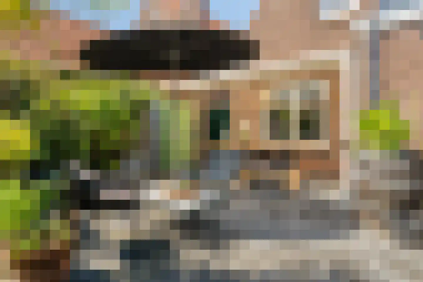 's-Gravenpolderseweg 76 Goes thumbnail 23