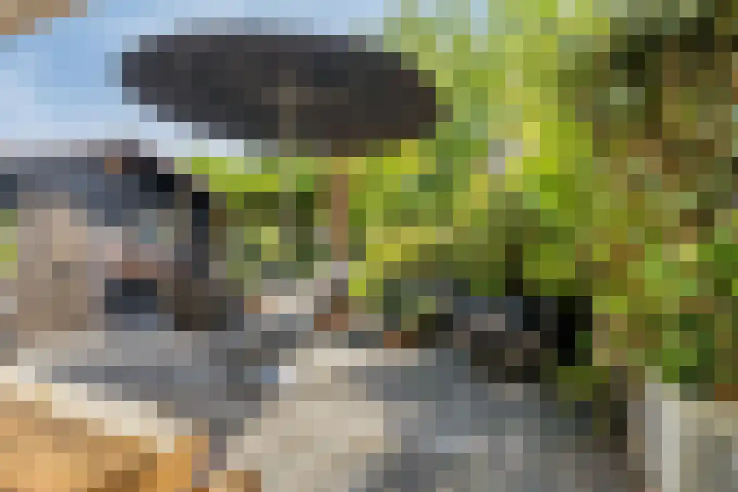 's-Gravenpolderseweg 76 Goes thumbnail 26