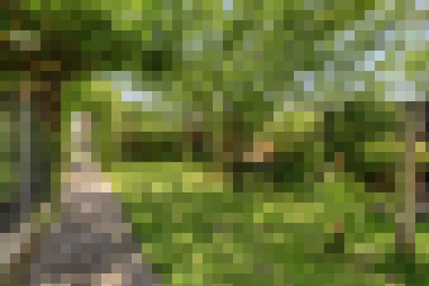 's-Gravenpolderseweg 76 Goes thumbnail 27