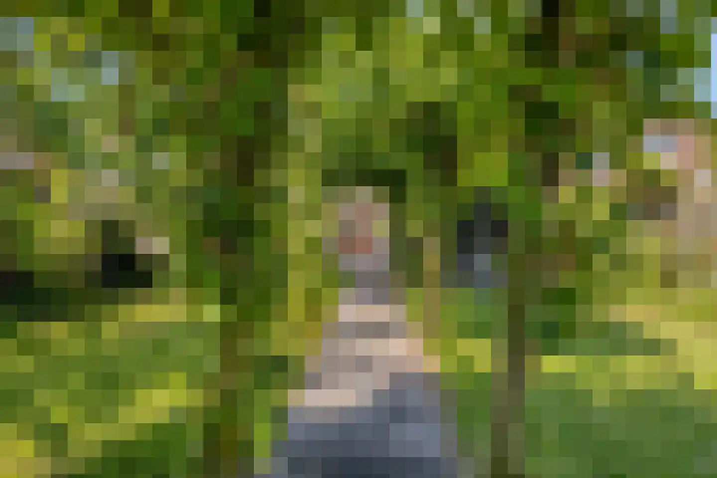 's-Gravenpolderseweg 76 Goes thumbnail 29