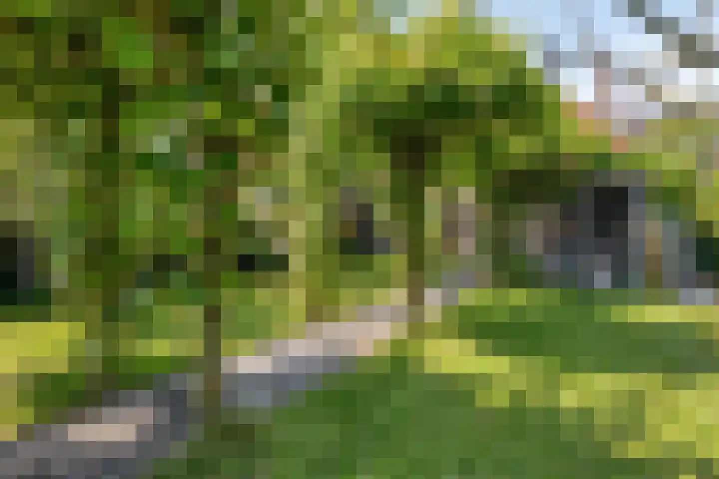 's-Gravenpolderseweg 76 Goes thumbnail 30
