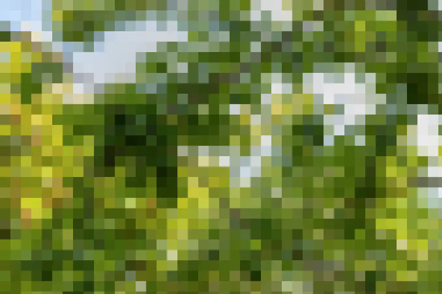 's-Gravenpolderseweg 76 Goes thumbnail 31
