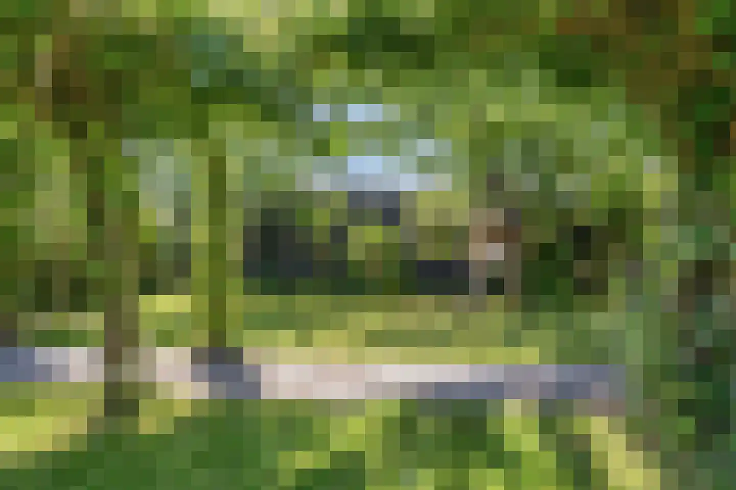 's-Gravenpolderseweg 76 Goes thumbnail 32