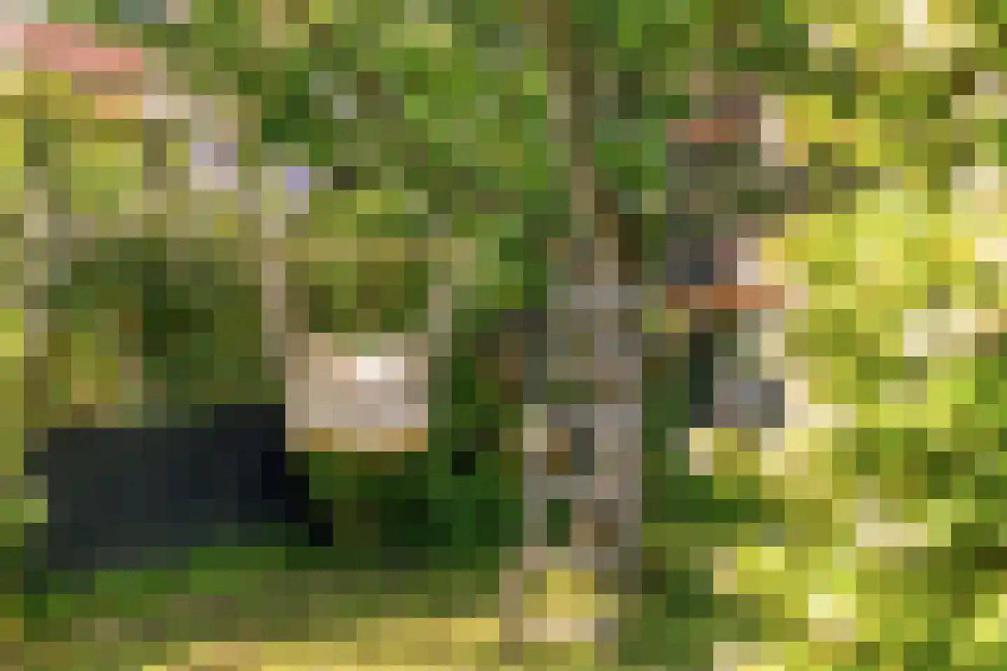 's-Gravenpolderseweg 76 Goes thumbnail 33