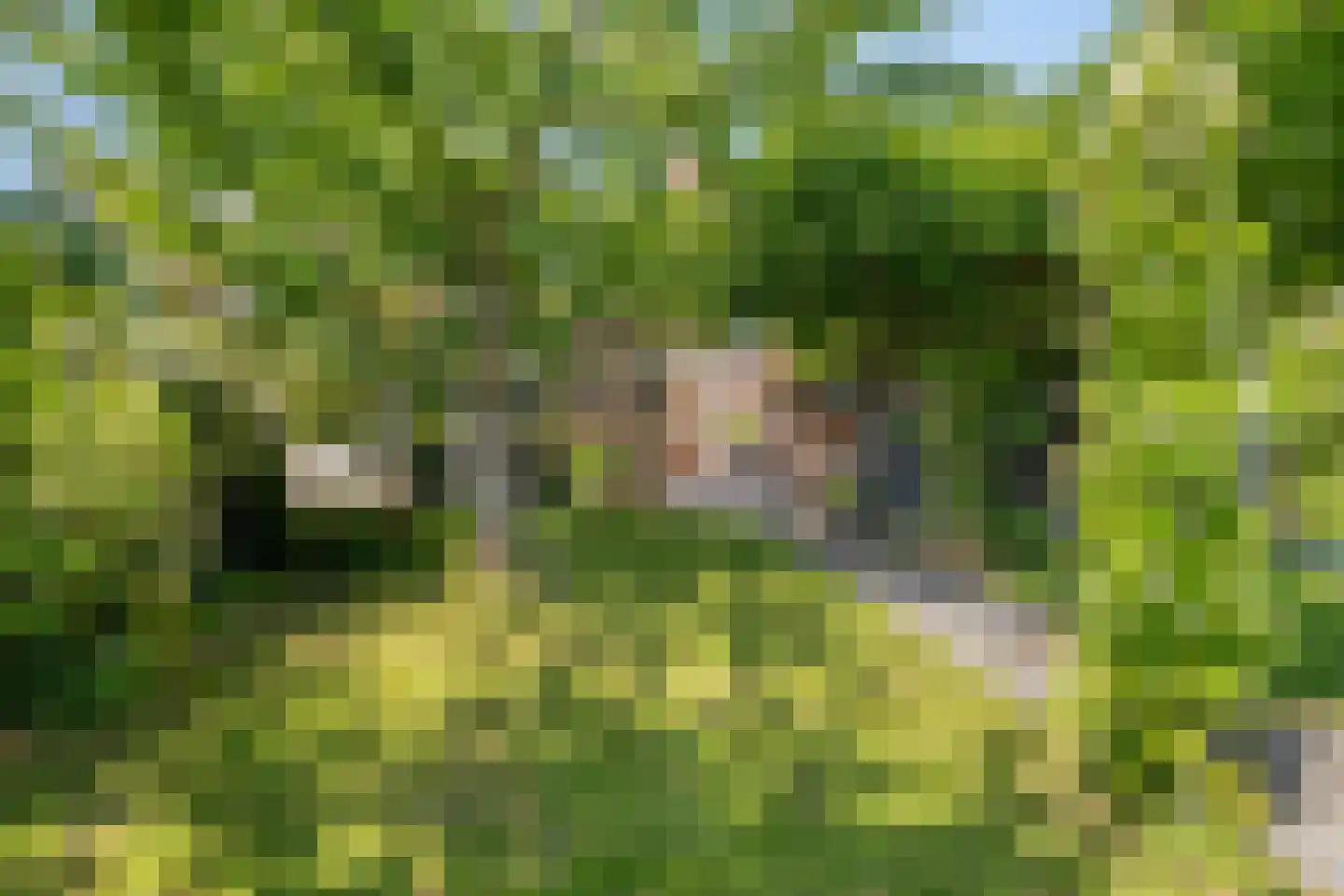 's-Gravenpolderseweg 76 Goes thumbnail 34