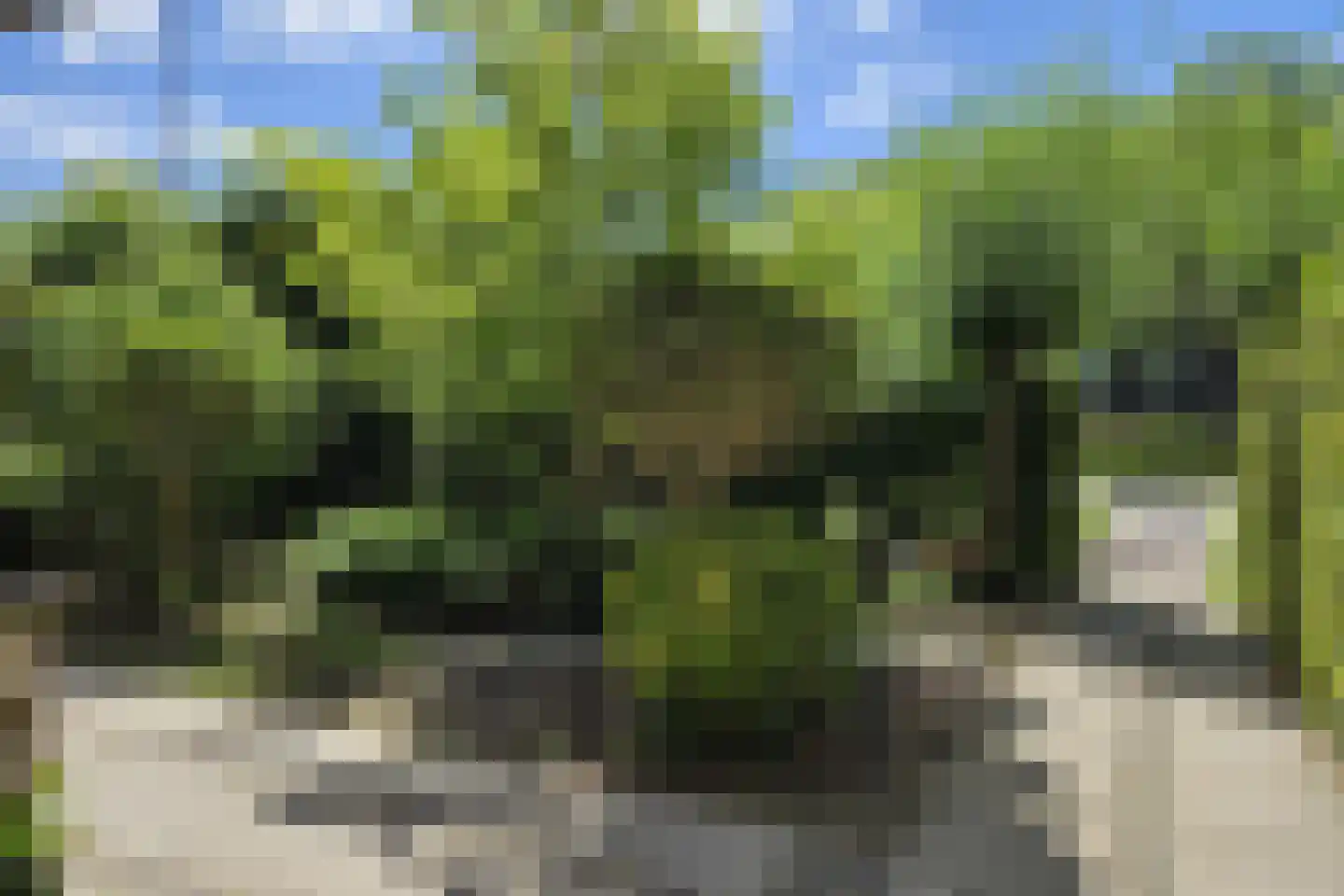 's-Gravenpolderseweg 76 Goes thumbnail 38