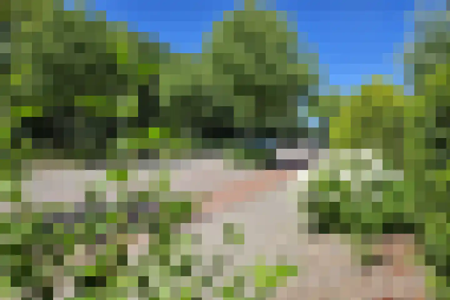 's-Gravenpolderseweg 76 Goes thumbnail 39