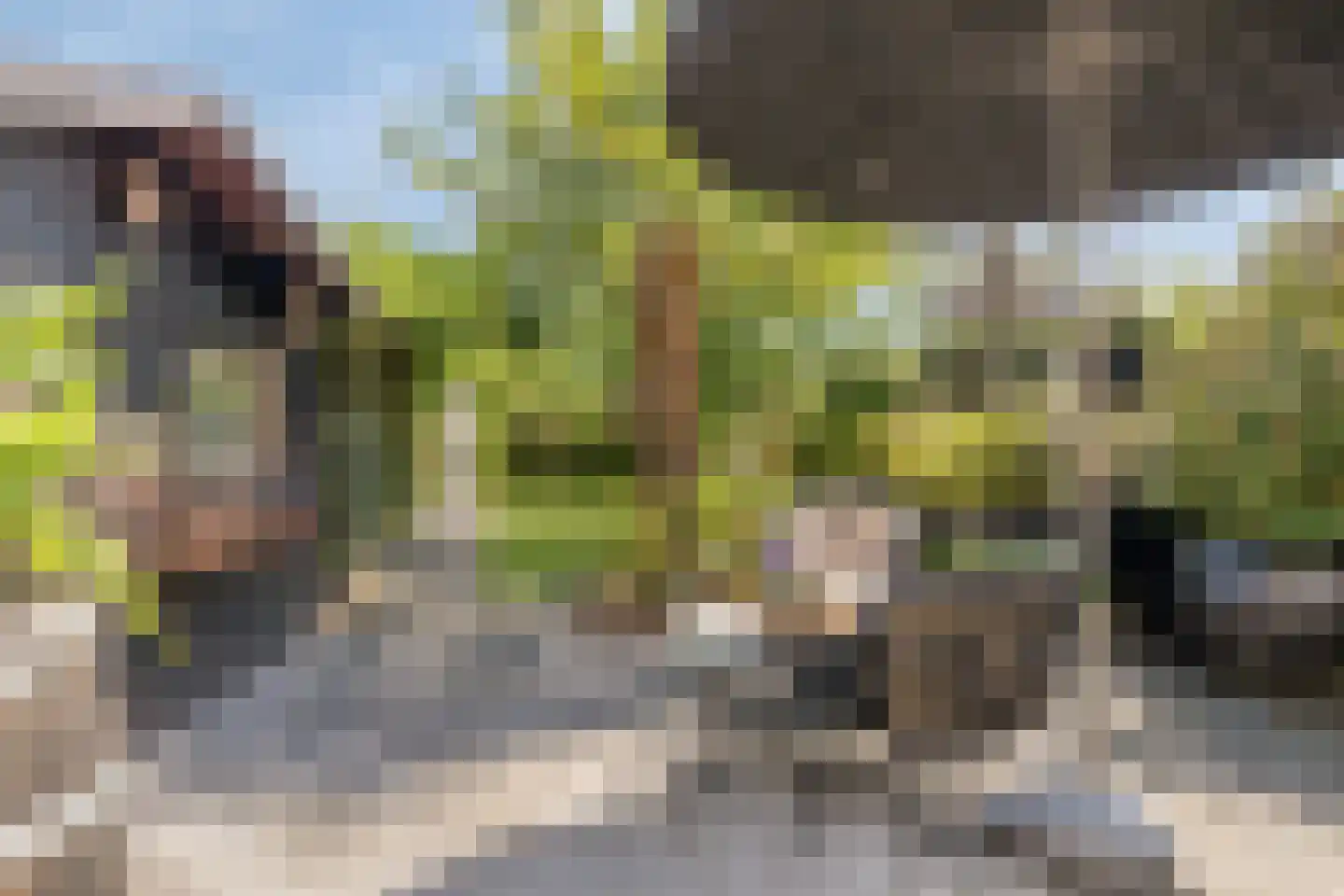 's-Gravenpolderseweg 76 Goes thumbnail 4