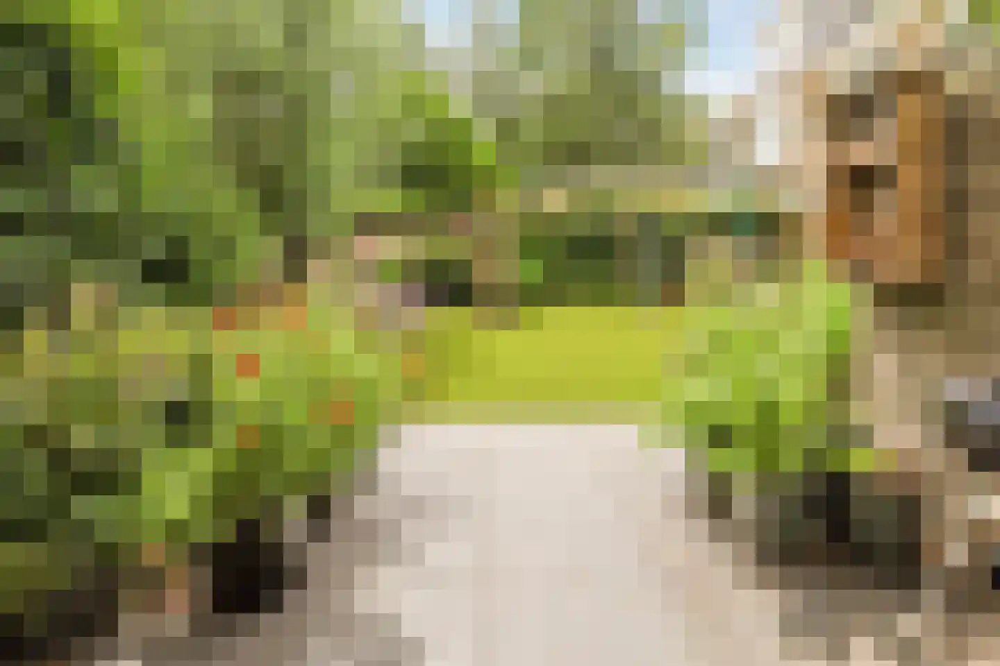 's-Gravensingel 20 Rotterdam thumbnail 13